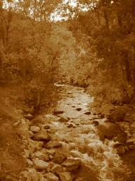 041008 boulder creek2.JPG
